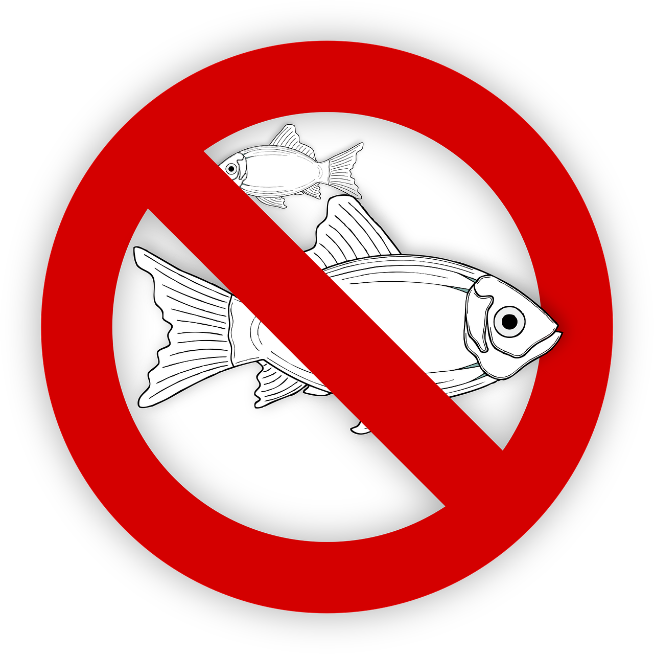 pixabay-995050-460.png